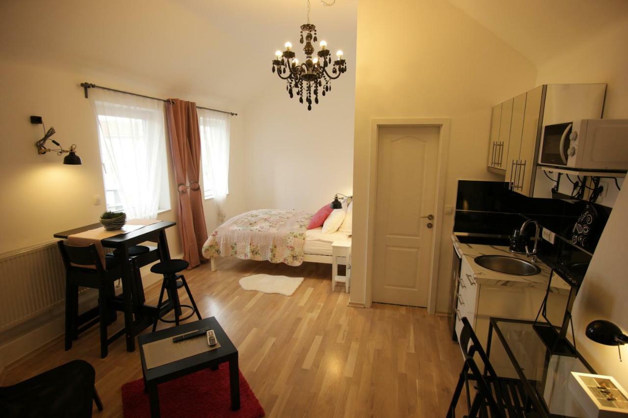 Zagreb Studio Apt No.1 Bagian luar foto